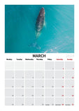 2024 Calendar