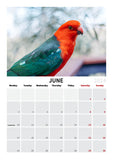 2024 Calendar